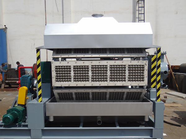 apple fruit tray making machines