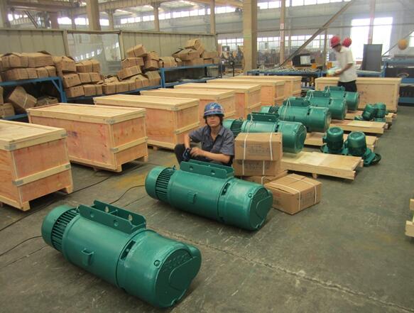 ellsen lifting hoist