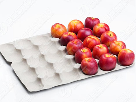 Apple Tray