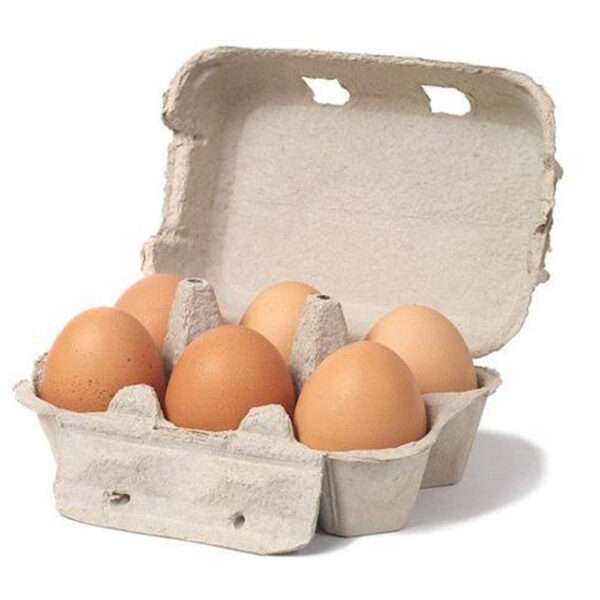 6 Egg Cartons