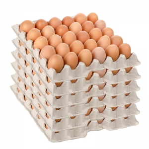 Use Egg Tray Machine to Make Egg Trays