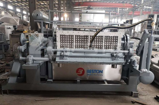 Beston Paper Egg Tray Machine Was Ready Shipped to Peru